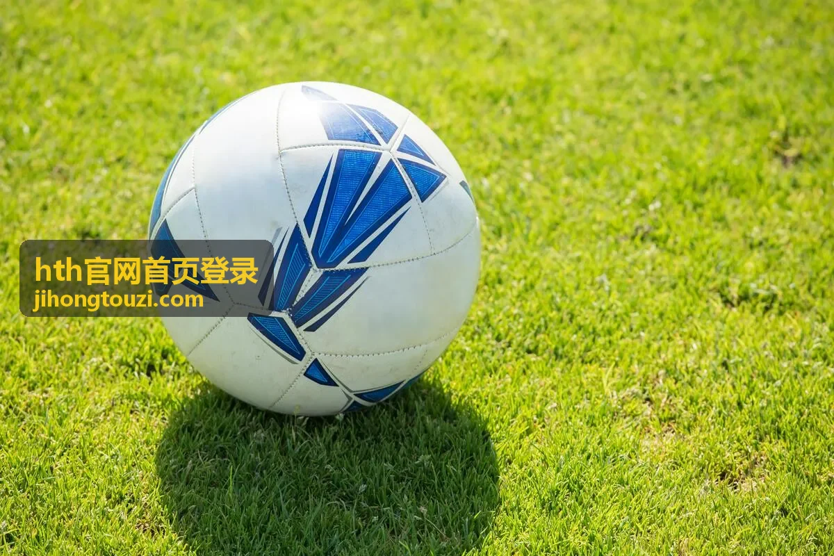 hth官网首页登录后的最近登录设备与会话记录列表