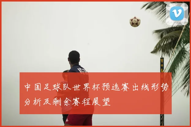中国足球队世界杯预选赛出线形势分析及剩余赛程展望