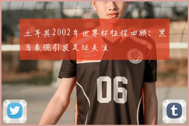 土耳其2002年世界杯征程回顾：黑马表现引发足坛关注