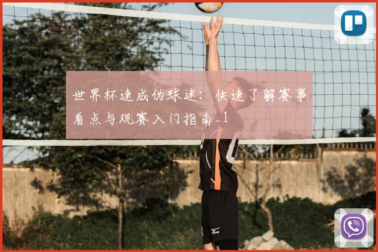 世界杯速成伪球迷：快速了解赛事看点与观赛入门指南_1