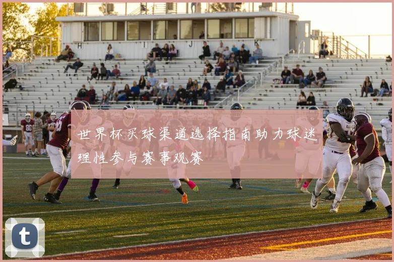 世界杯买球渠道选择指南助力球迷理性参与赛事观赛